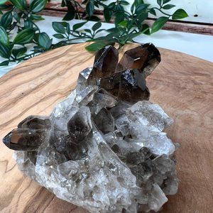 Smoky Quartz Crystal Points Protection Cluster